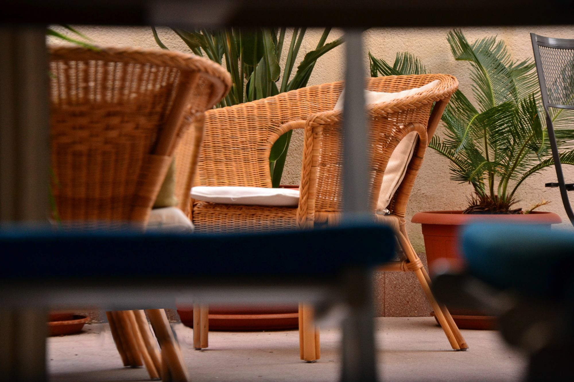 Il Lapino Hotel Palermo Luaran gambar